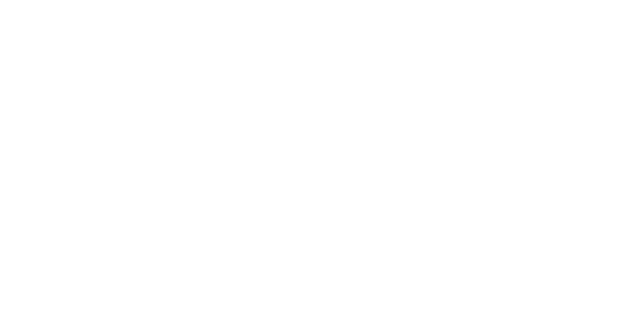 Avanza Investments